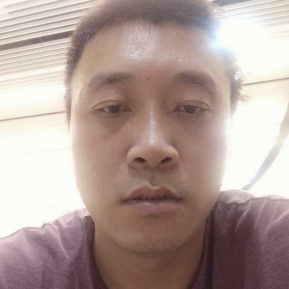 大雁和醉熏的照片