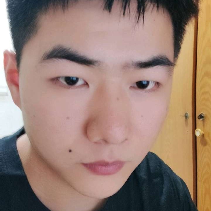 橙橙一个大橙子的照片