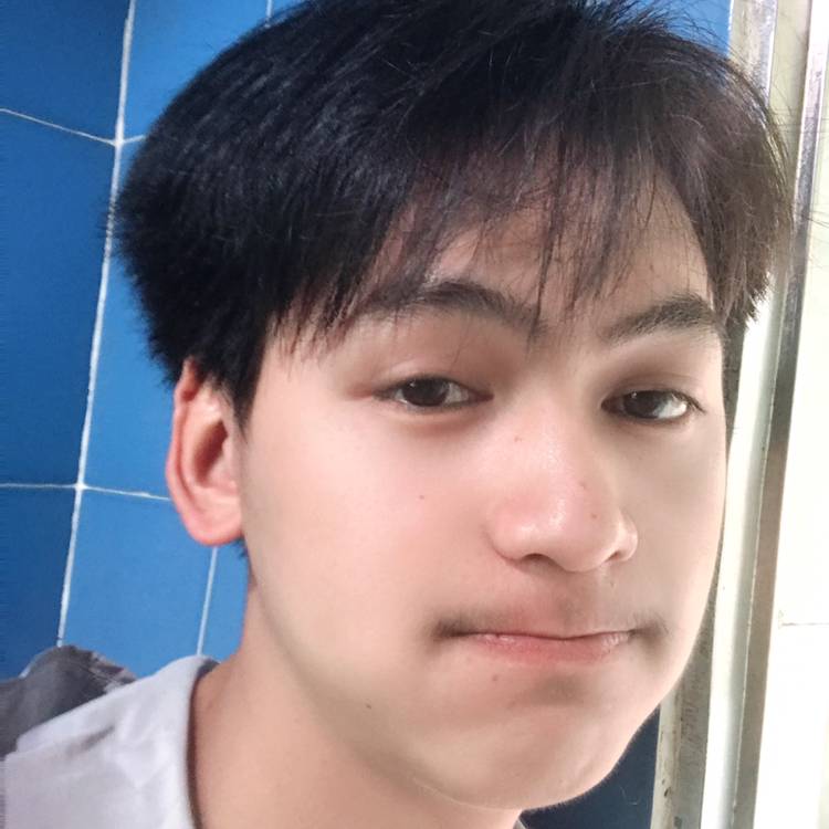 路灯請野性的照片