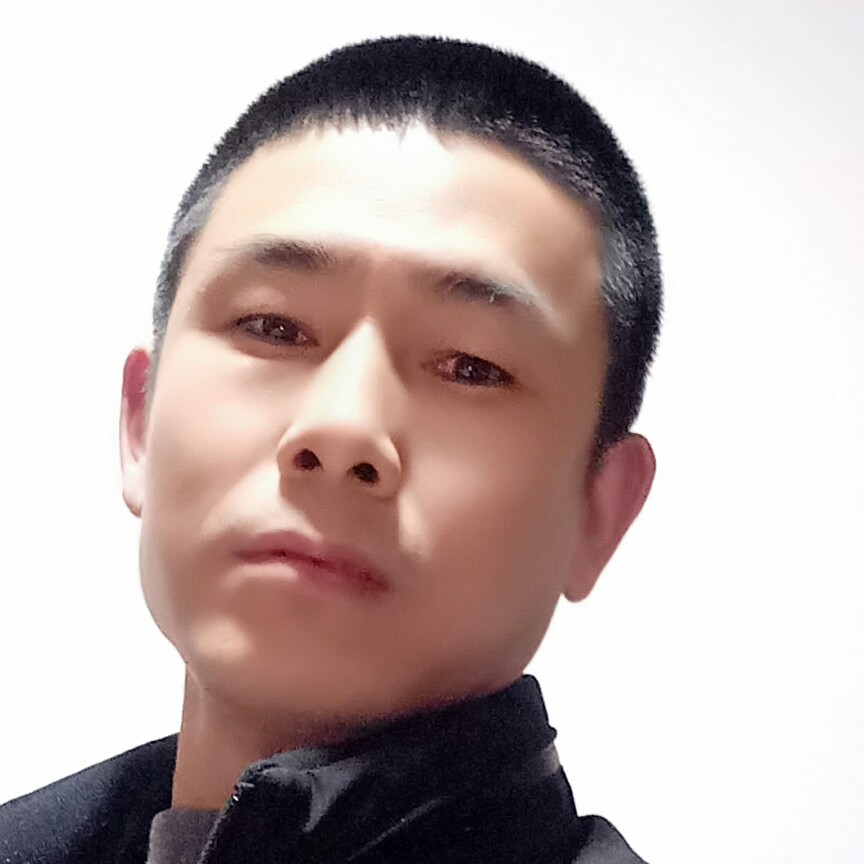 鼠标说自由的照片