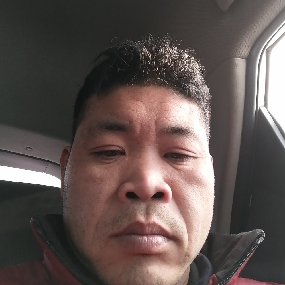 大雁瘦瘦的照片