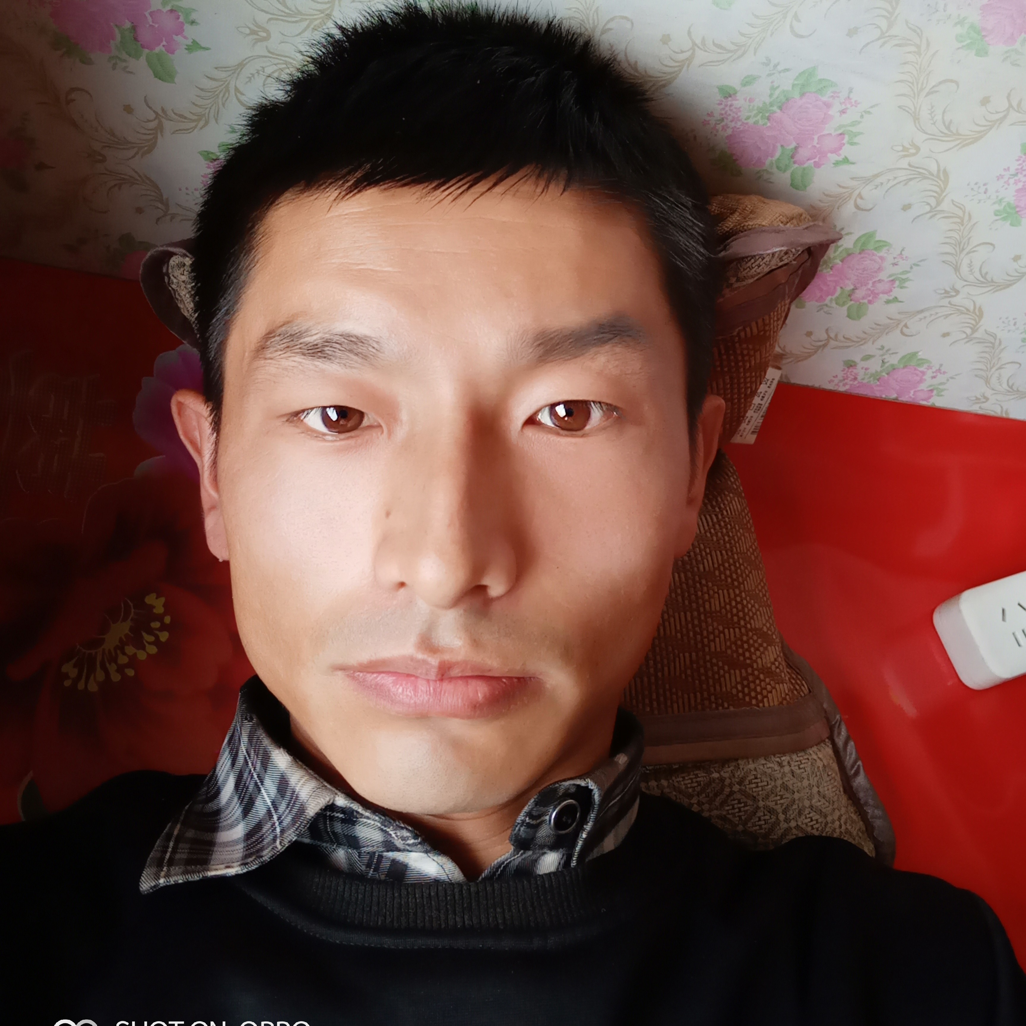 隐形还哑铃的照片