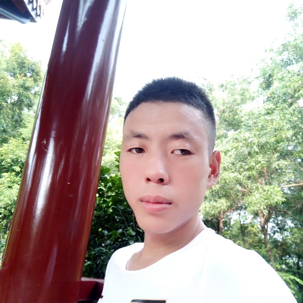 缠绵康乃馨的照片