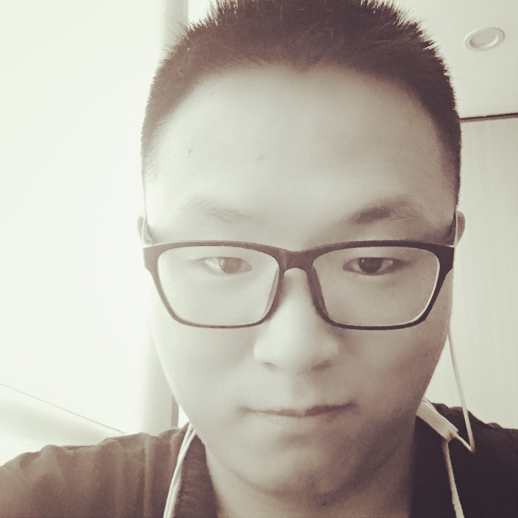 高贵的哈士奇的照片