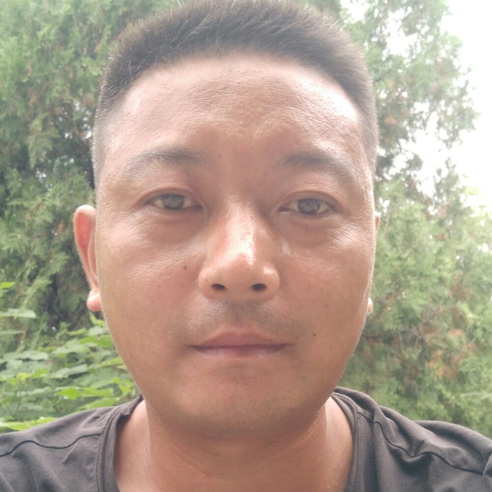 内向停止香烟的照片