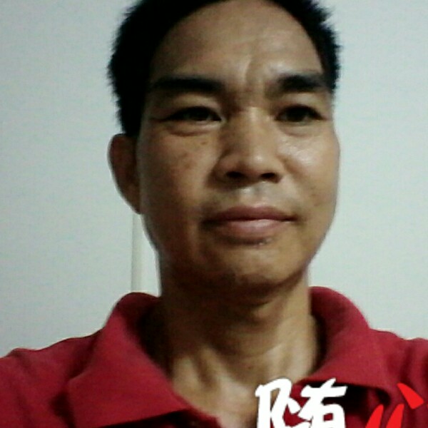 翩飞停止钢笔的照片