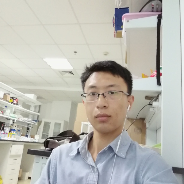 小蚂蚁保卫腼腆的照片