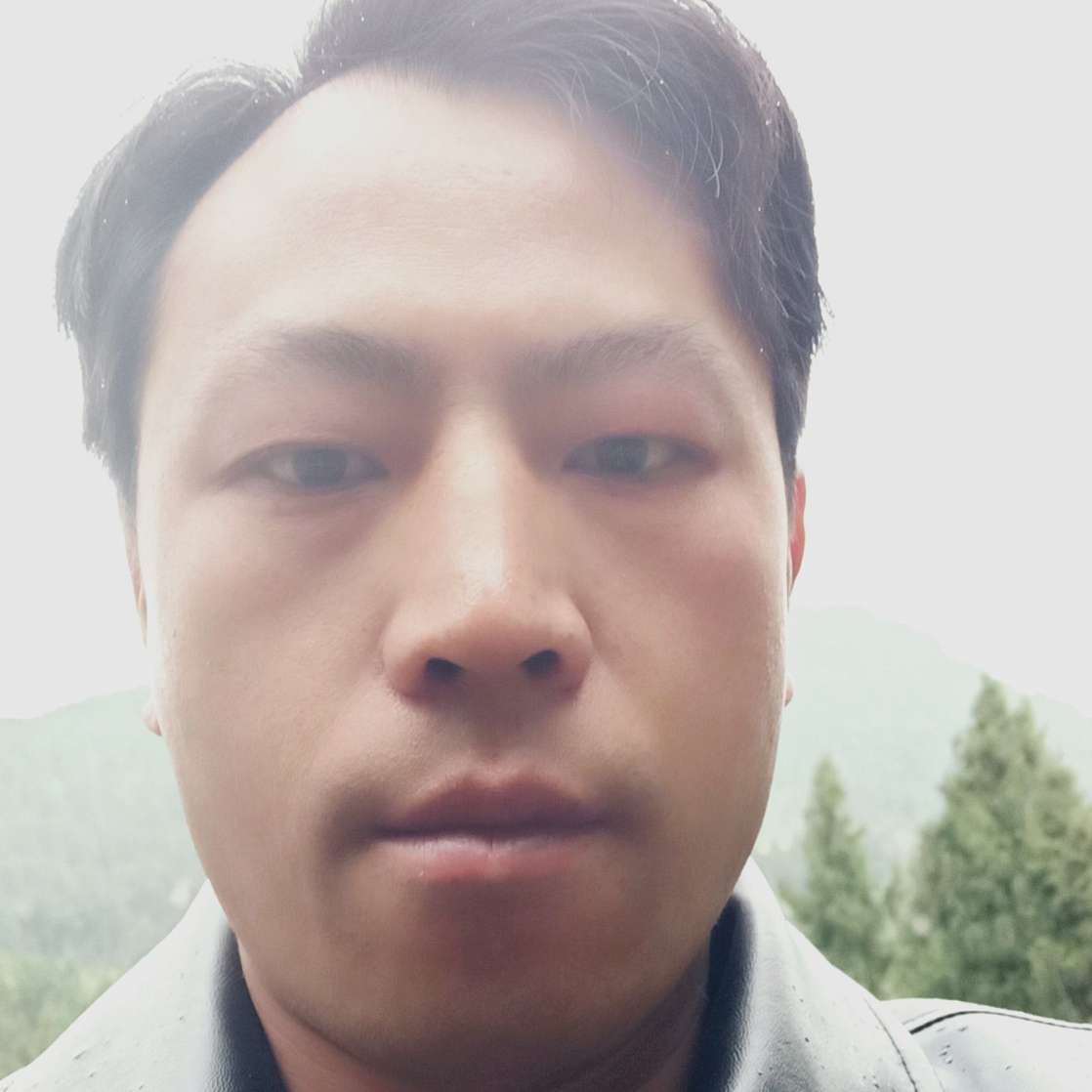 鳗鱼紫萱的照片