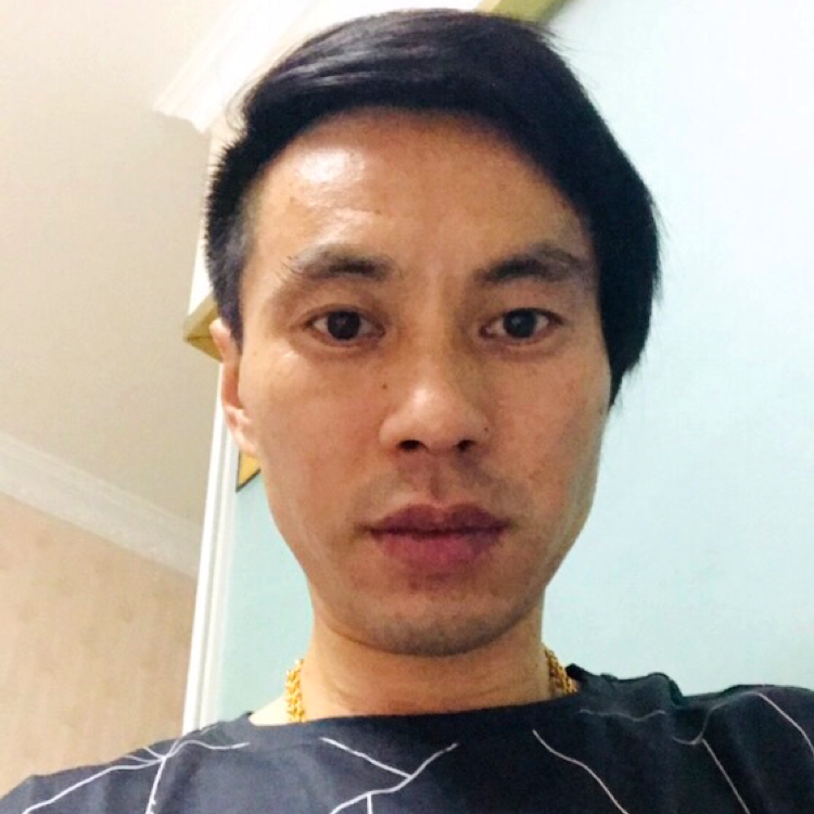 小鸽子给慈祥的照片