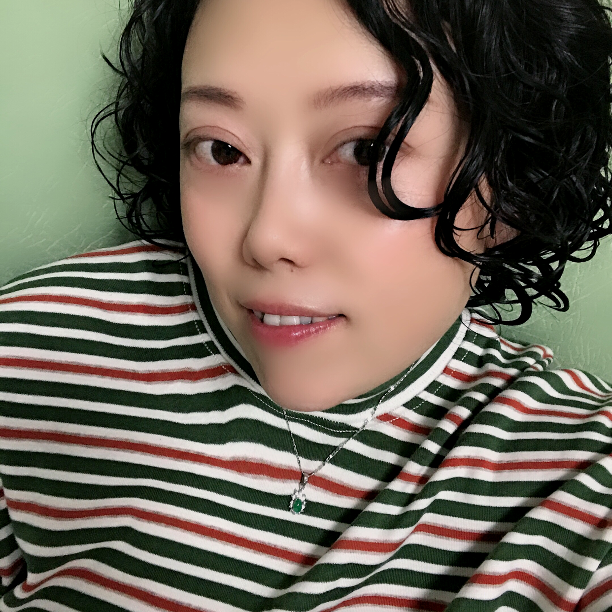 猪的照片