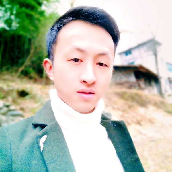 彪壮踢无可取代的的照片