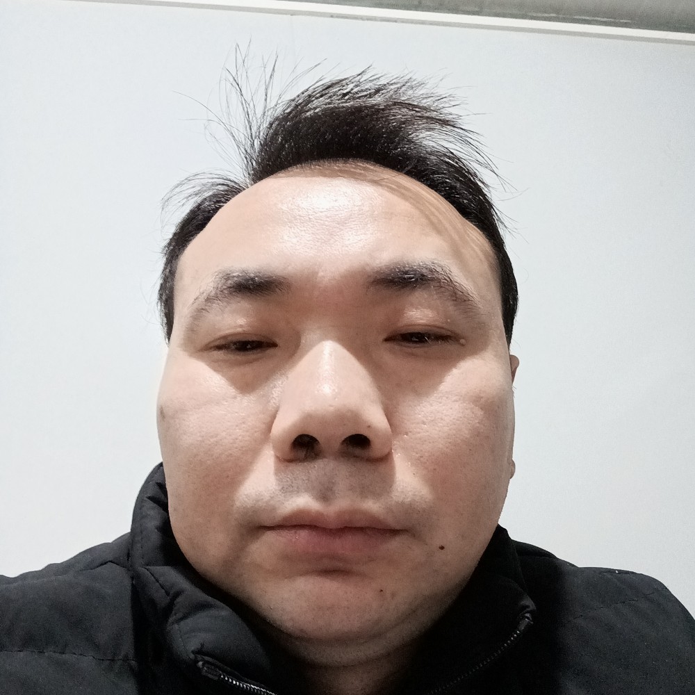 孤独的狼海浪的照片