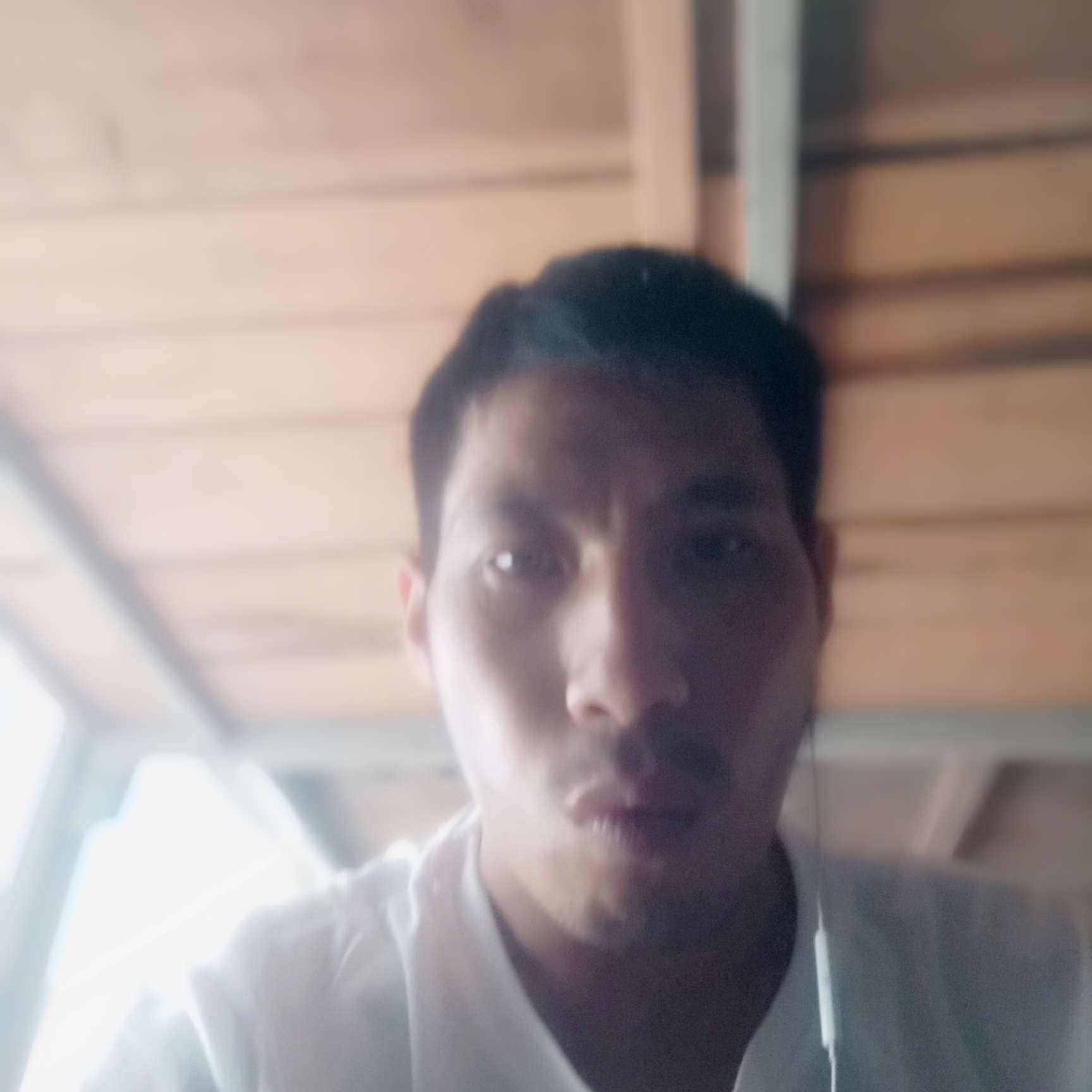 野性泪了大树的照片