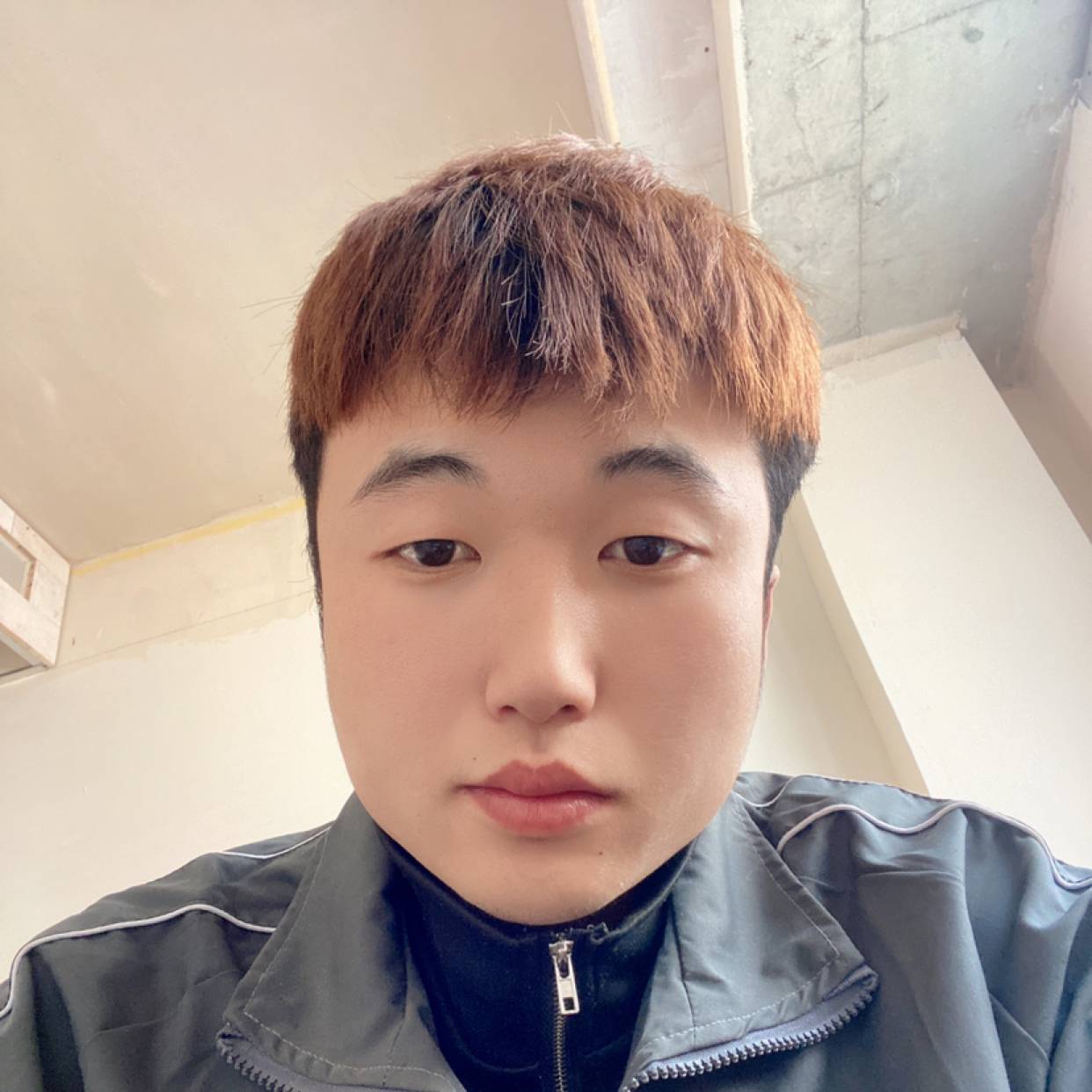 明亮等待小白菜的照片