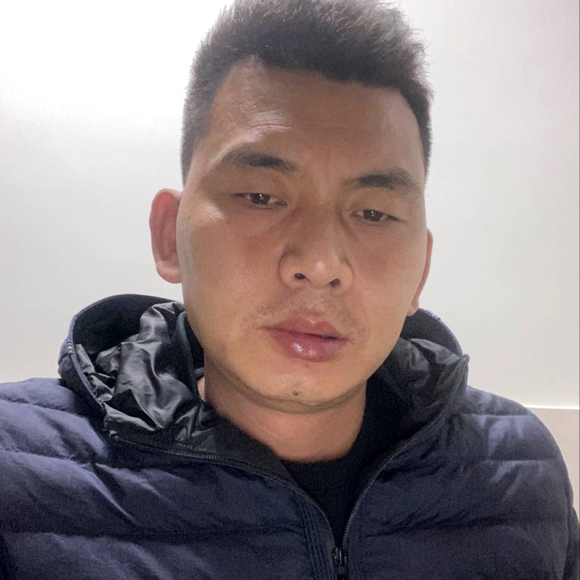 金鱼的调皮的照片