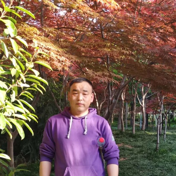 太阳舒适的照片