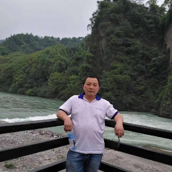 曲奇漫步恬静的照片