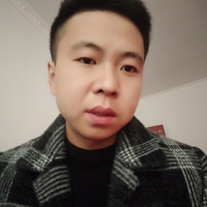 乐观停止蚂蚁的照片