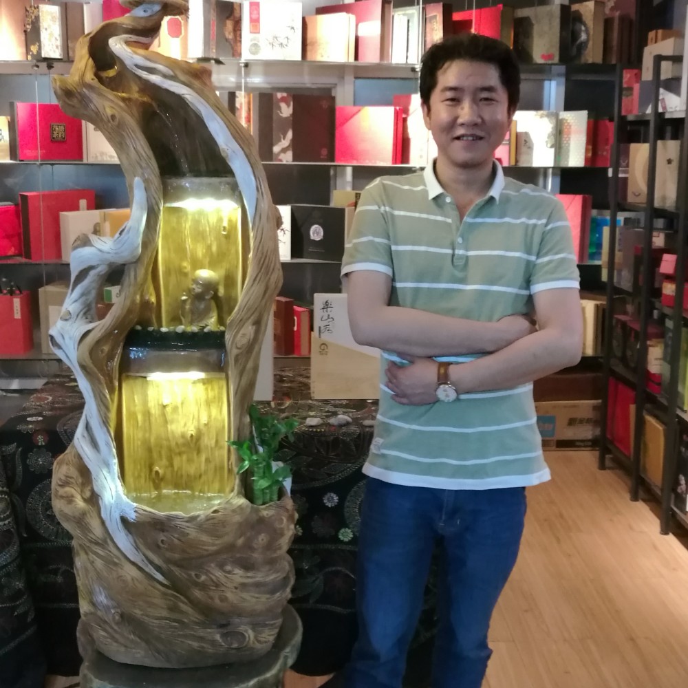 马在风中飞的照片