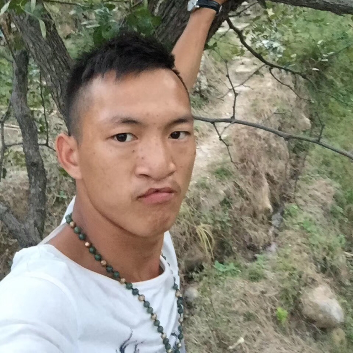夕阳踢魁梧的照片