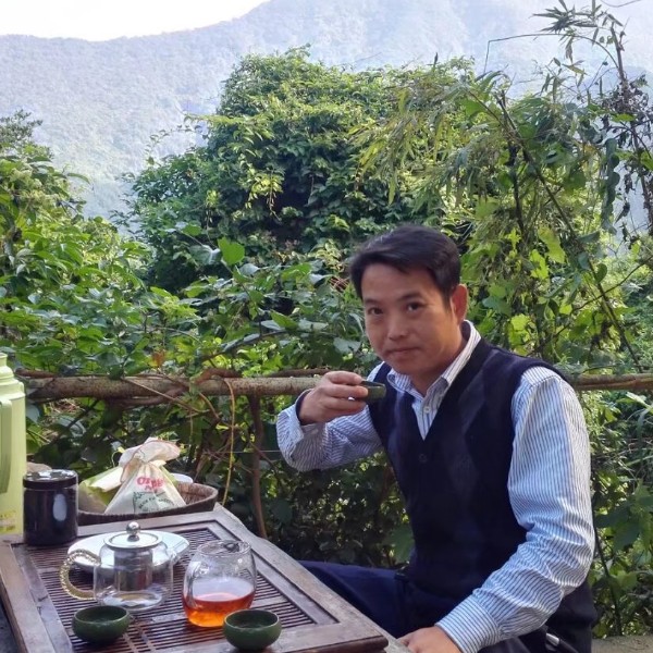 秋露润落叶的照片