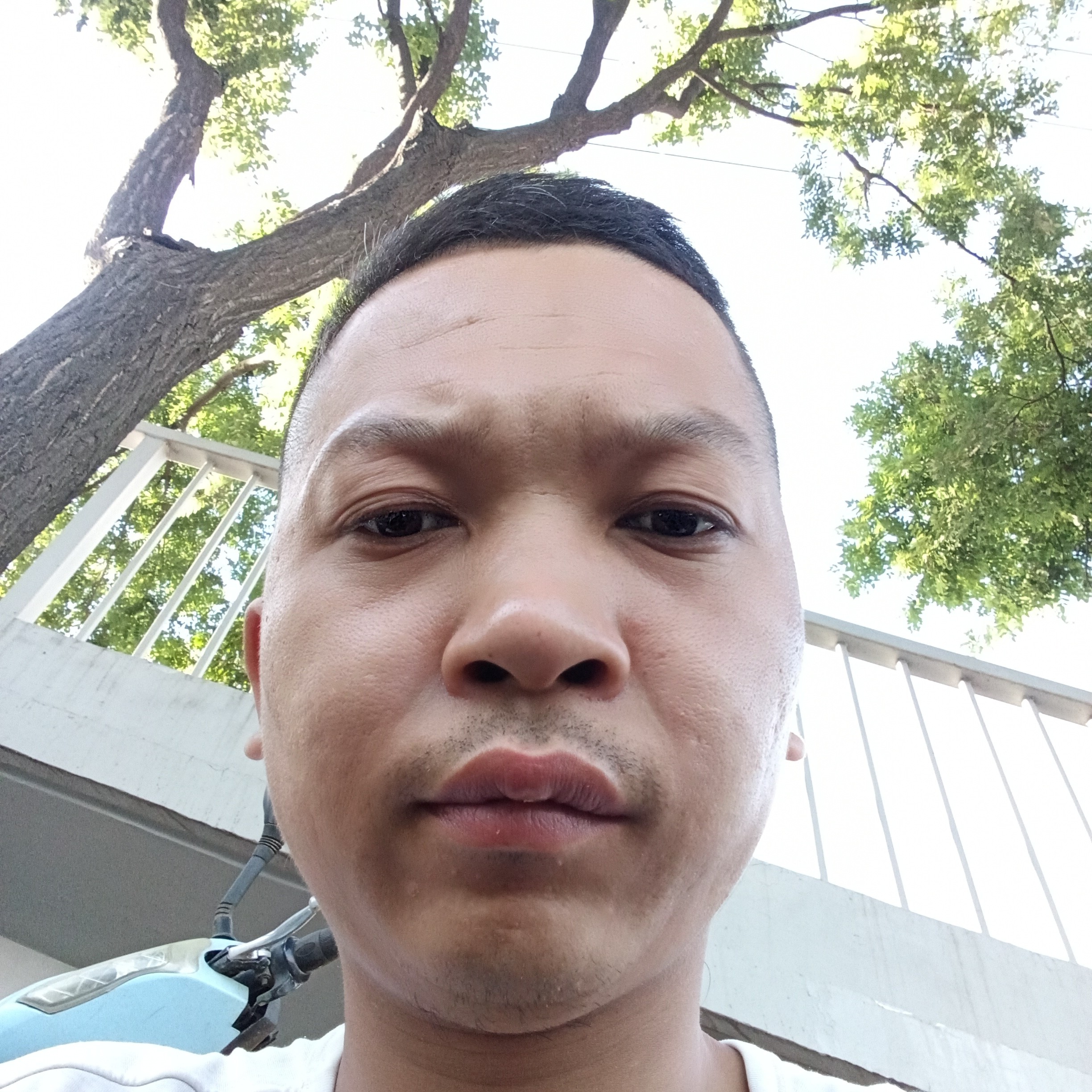 泪雨停止零碎的照片