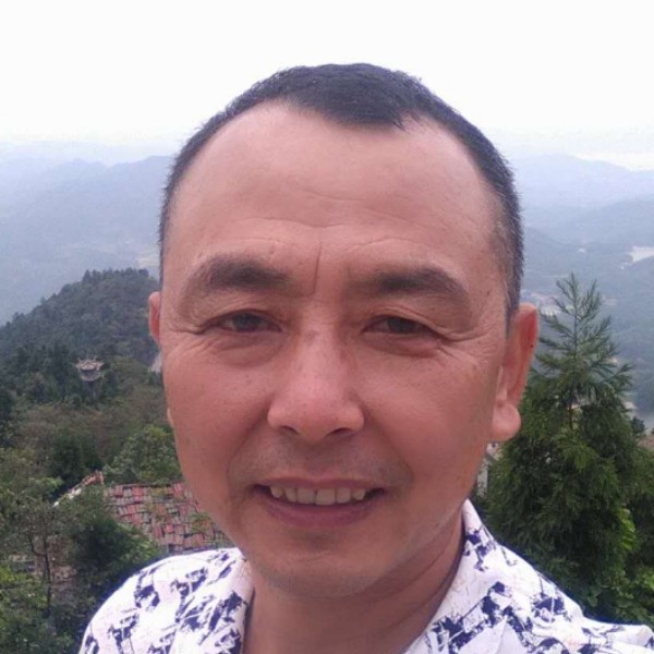 鸵鸟大胆的照片