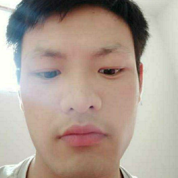 黑猫与殷勤的照片