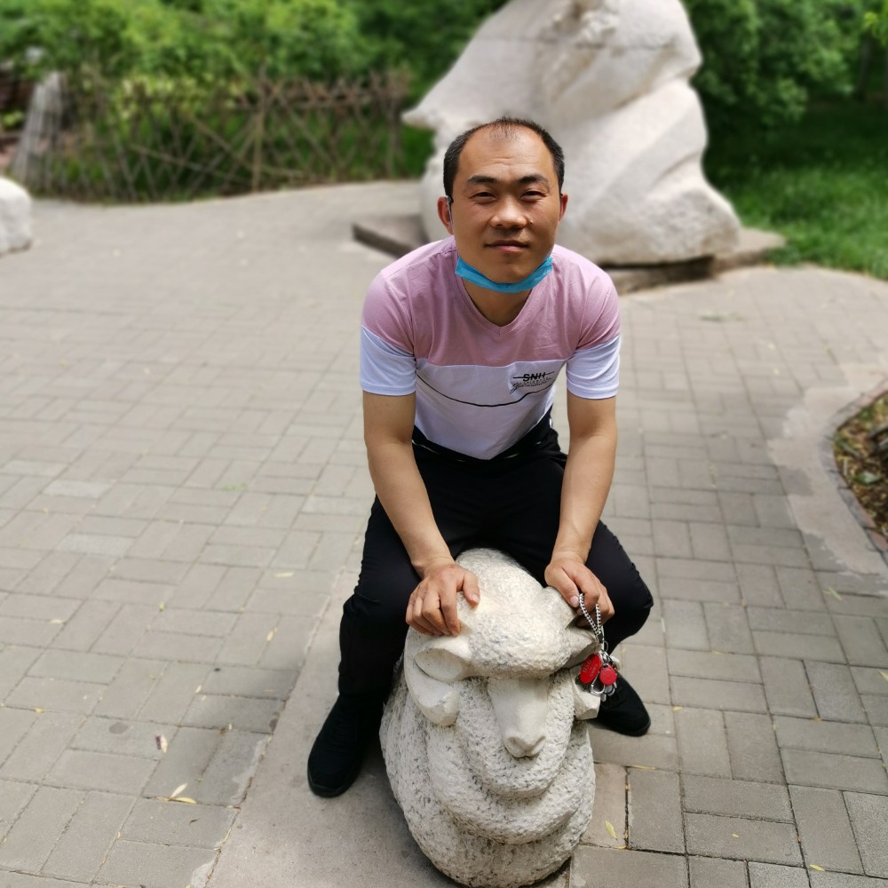 寻找单身的你，的照片