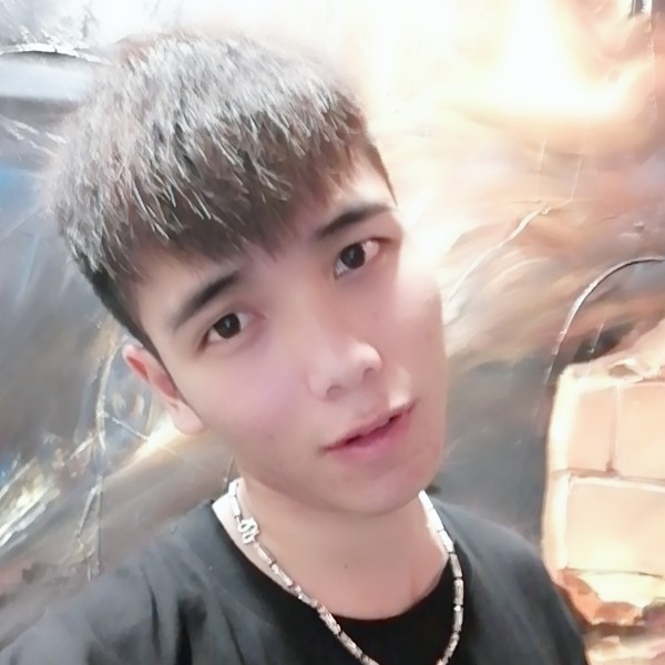 认真的哈士奇的照片