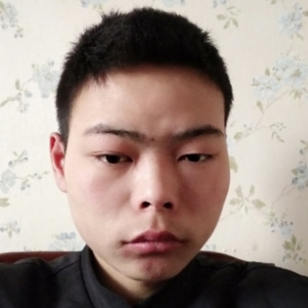 正直等待龙猫的照片