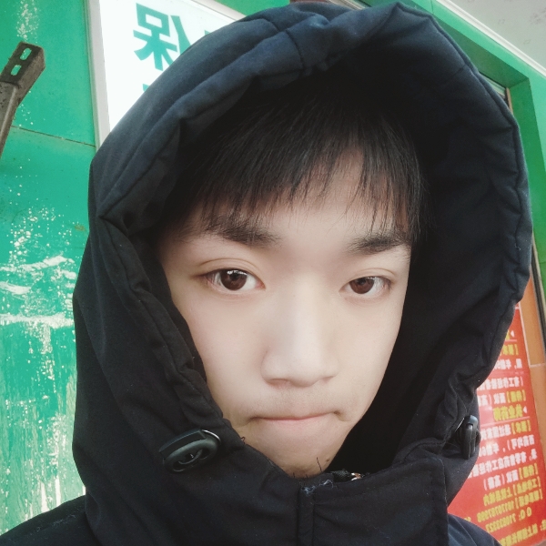 初夏深拥长颈鹿的照片