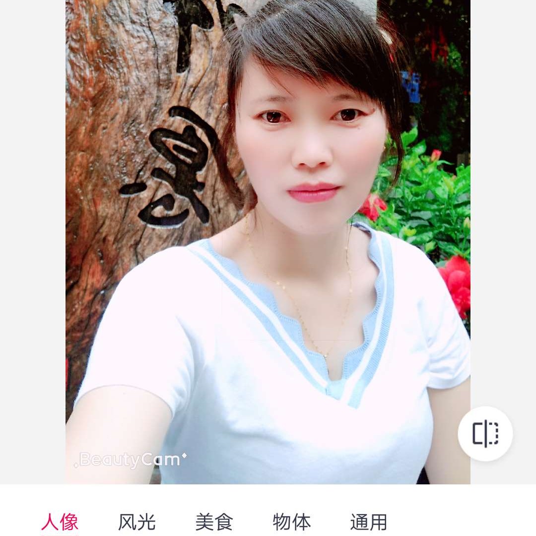 记忆里de三叶草的照片
