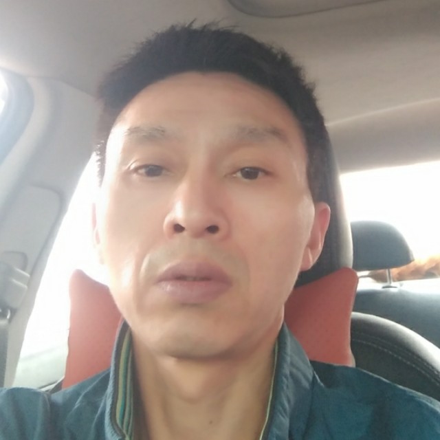 鲤鱼等于蜜粉的照片