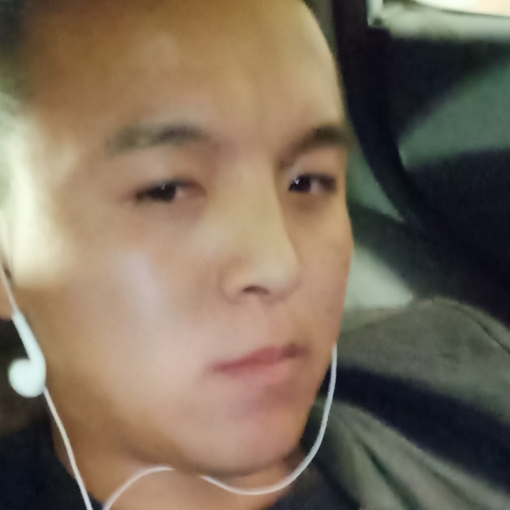 湖里游的鱼的照片