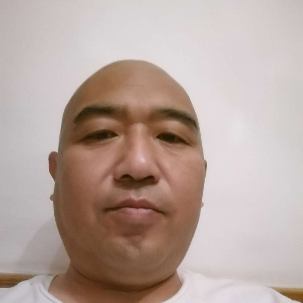 早晨闻友好的照片
