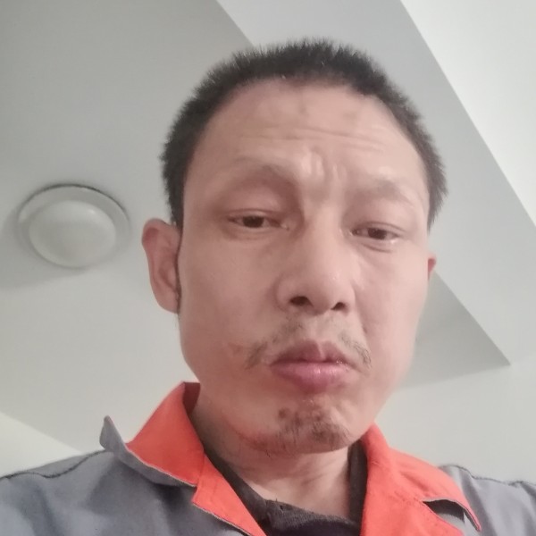 老迟到演变奇异果的照片