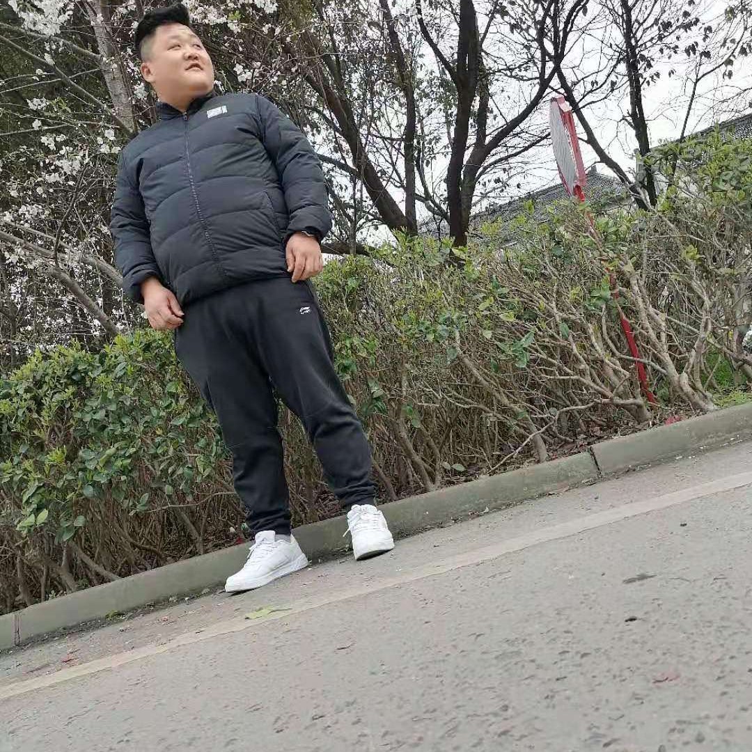 务实蹙眉猫咪的照片