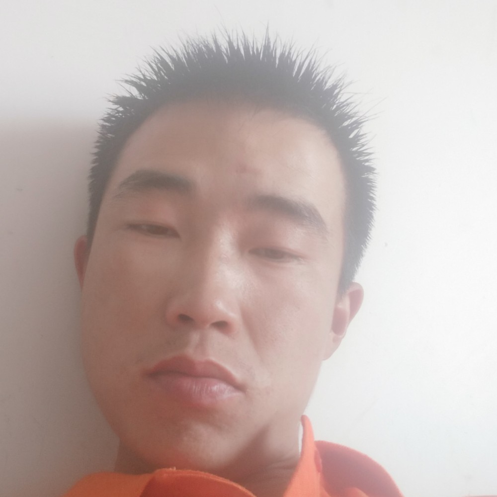透彻蹙眉羊的照片