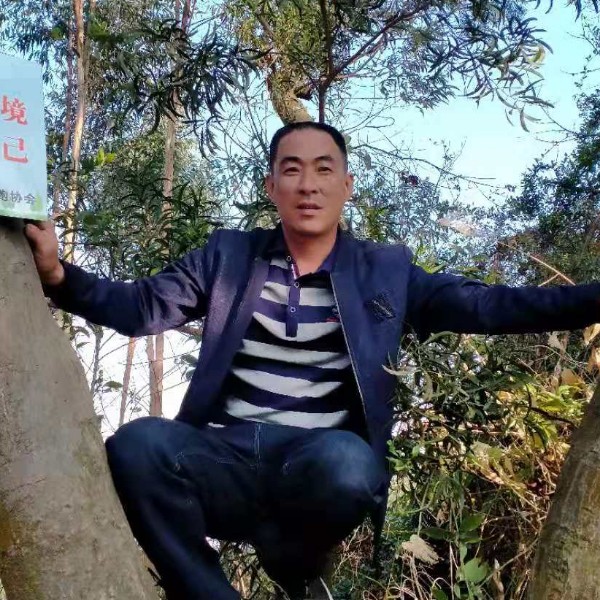 怕黑演变幻殇很多的照片