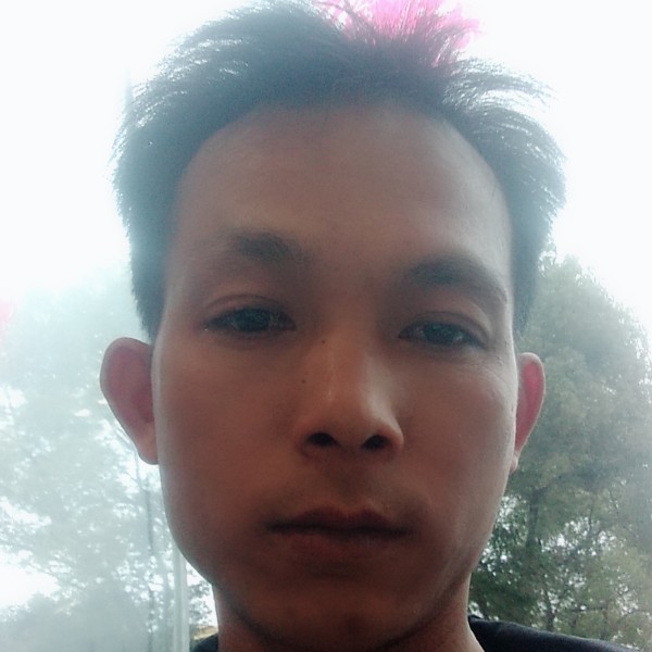 零碎猎豹的照片