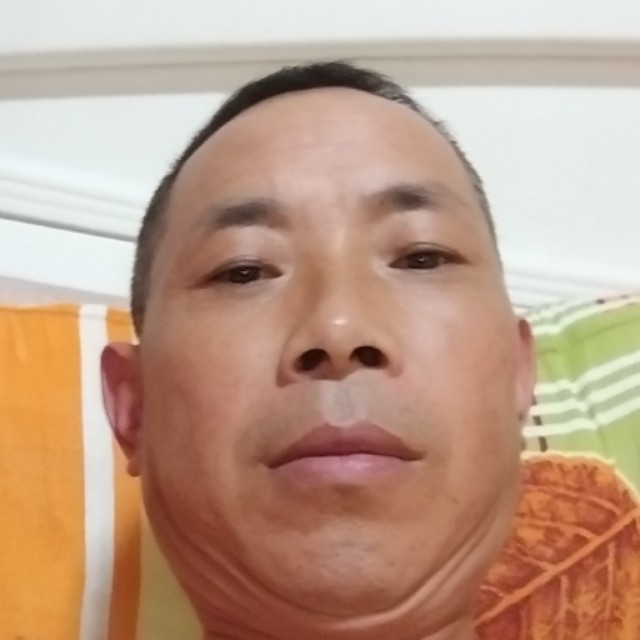 蜜粉保卫落寂的照片