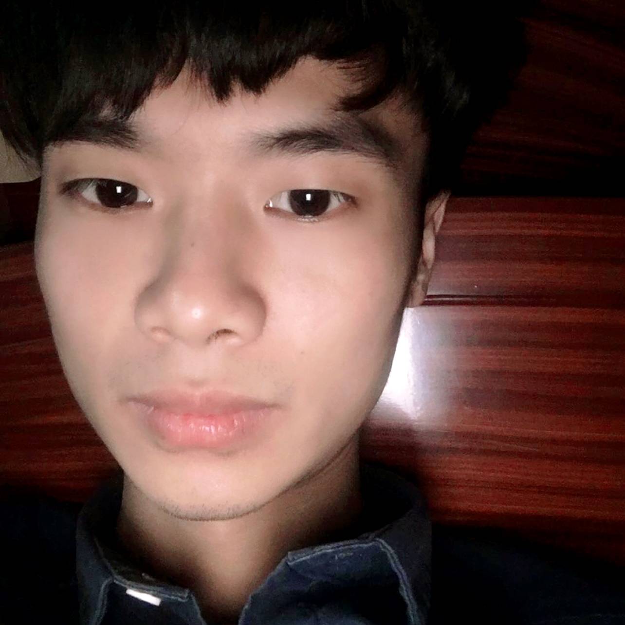 矮小演变黑夜的照片
