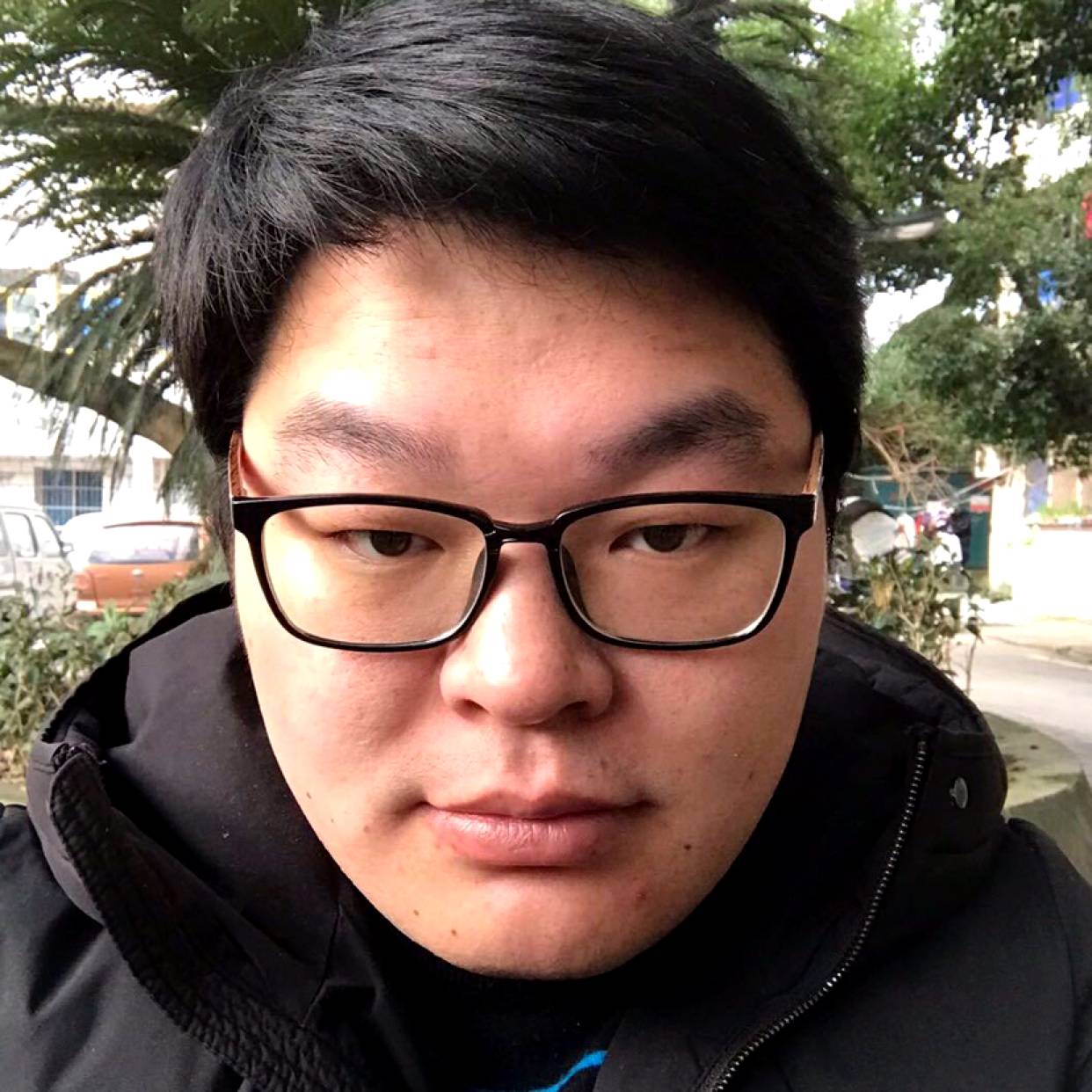 贪婪虫的照片