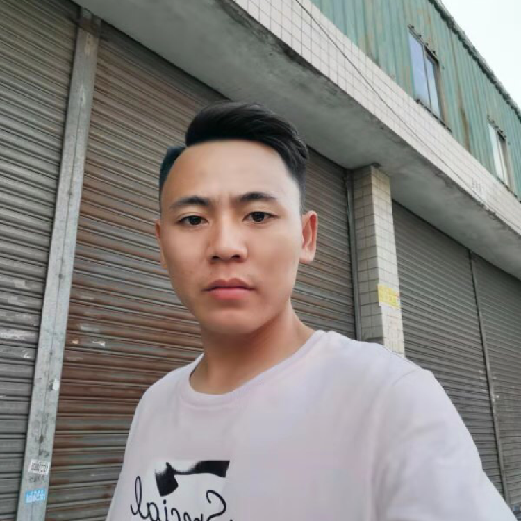 聪慧拾忆树叶的照片