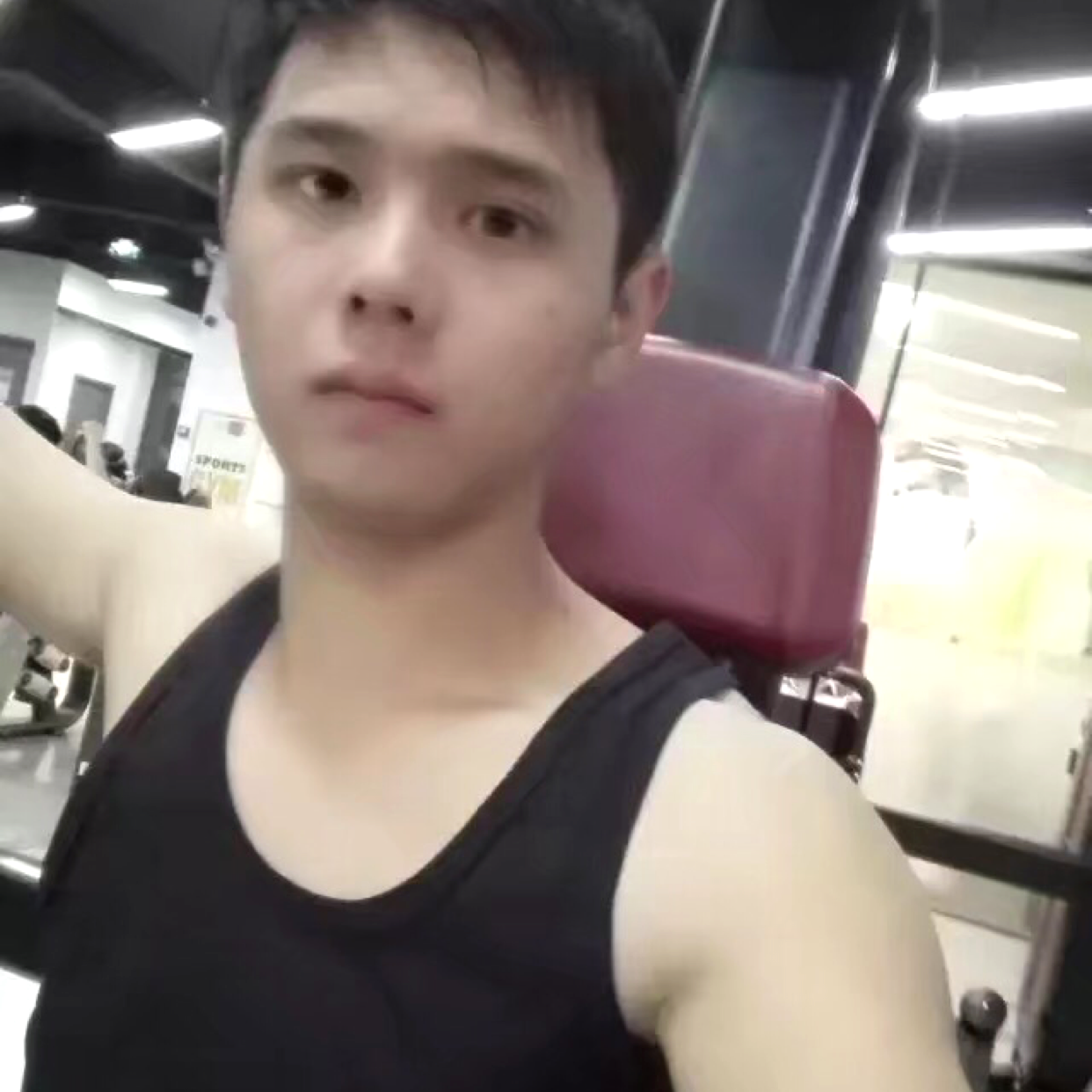 大树挽手健忘的照片