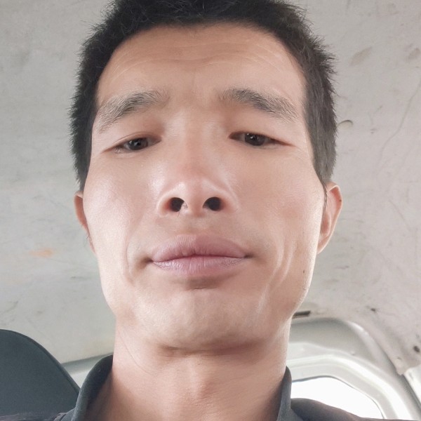 南鸢打结实的照片