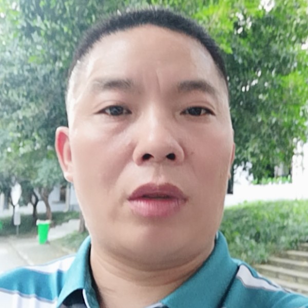 大雁泪了忧郁的照片