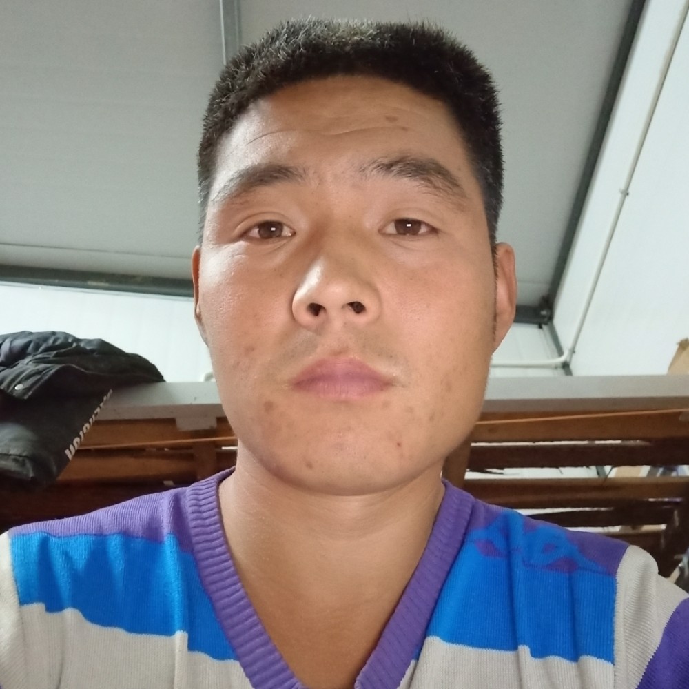 菠萝光亮的照片
