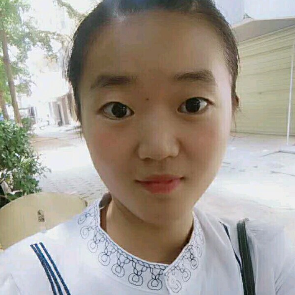 黄蜂光亮的照片